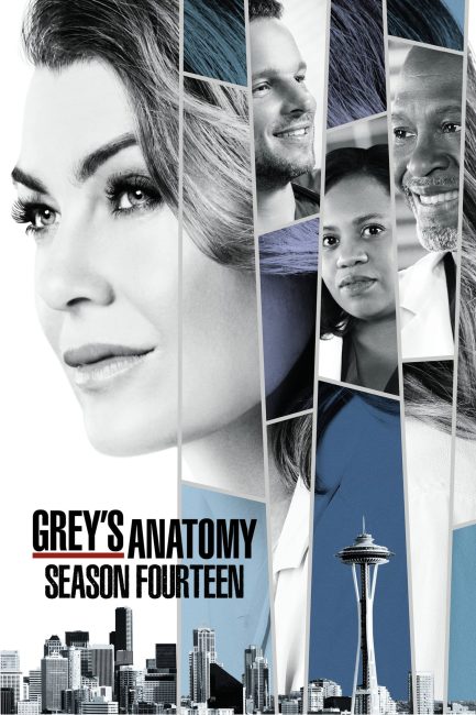 مسلسل Grey’s Anatomy الموسم 14 الحلقة 6 مترجمة