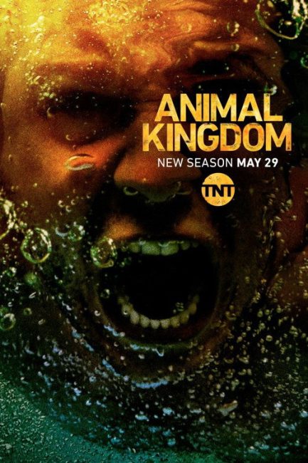 مسلسل Animal Kingdom الموسم الثالث الحلقة 3 مترجمة